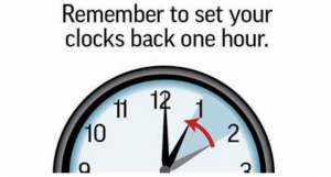 Read more about the article Newsletter October 2025