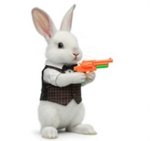 Read more about the article Newsletter April 2026