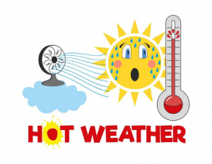 Read more about the article Newsletter July 2026